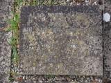 image of grave number 945923